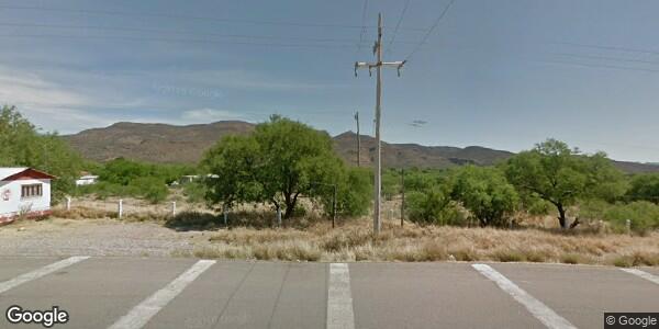 INSPECCIÓN DE GANADO